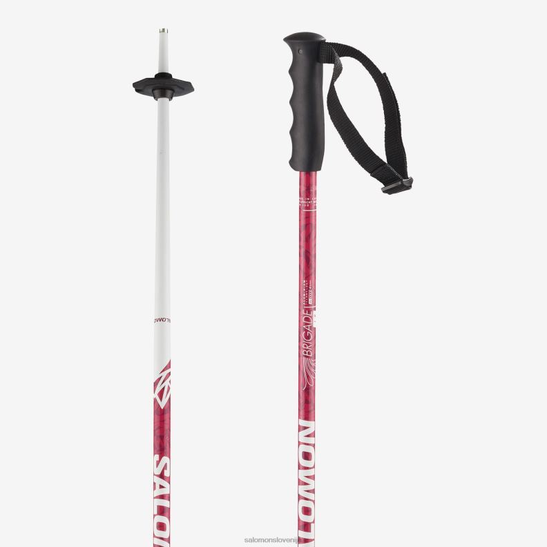 VZTX62016 Salomon modra mladinsko-otroške alpske palice brigade jr modre